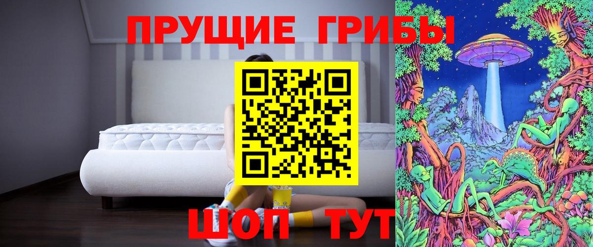 Галлюциногенные грибы ЛСД  Вход с VPN  Галлюциногенные грибы ЛСД  Шелехов 
