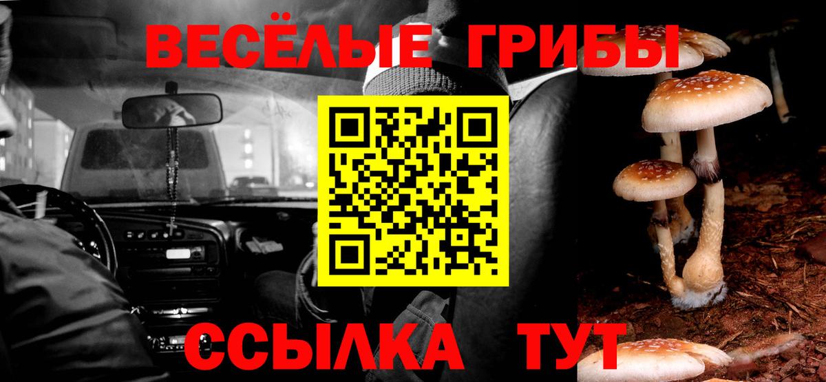 Галлюциногенные грибы мицелий Шелехов
